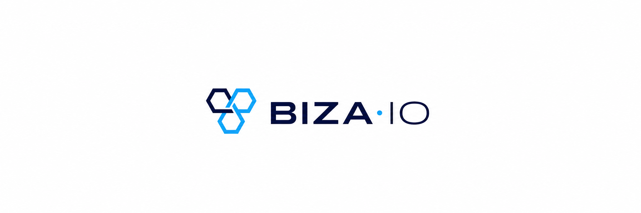 Biza